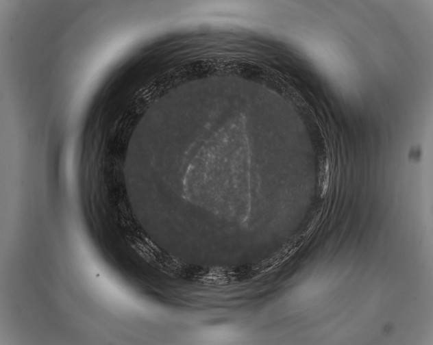 X0000095510383200712141429