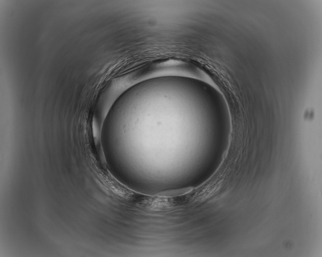 X0000095510384200712141429