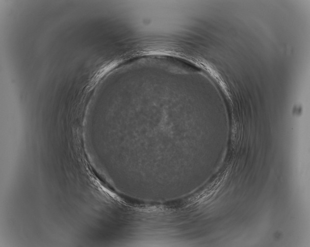 X0000095510385200712141428