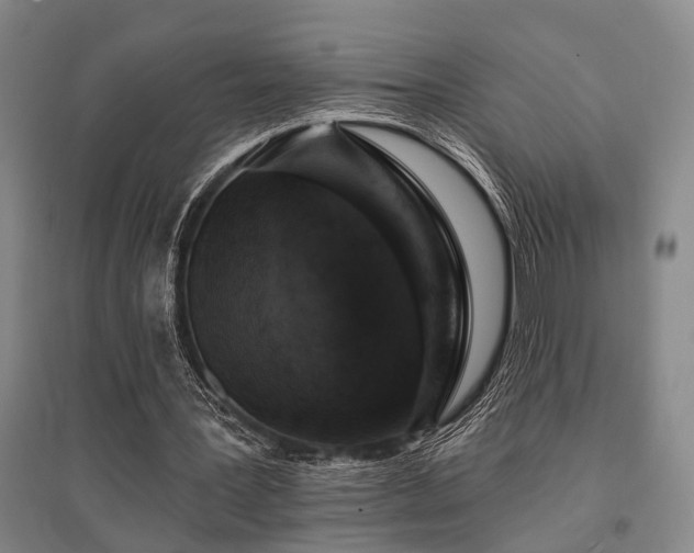 X0000095510387200712141428