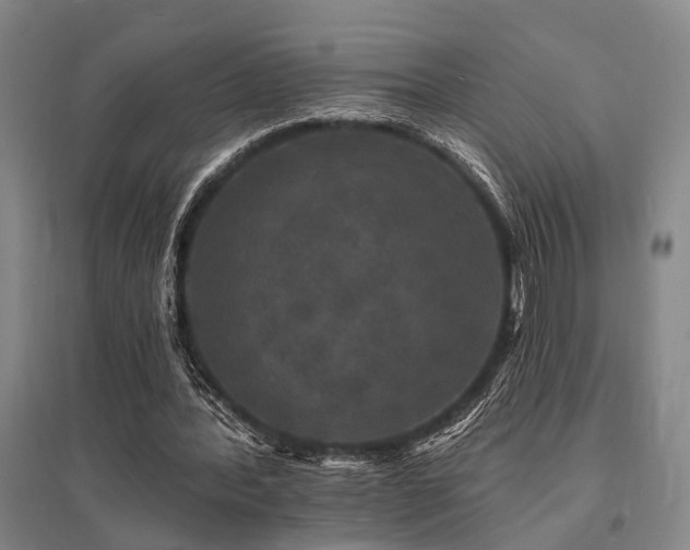 X0000095510388200712141428
