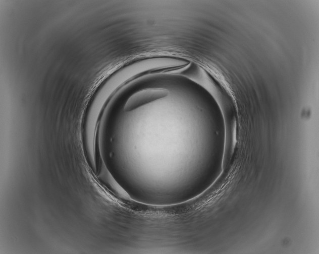 X0000095510389200712141428