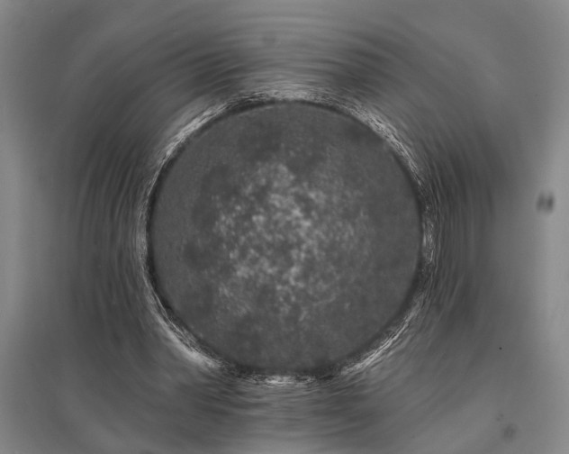 X0000095510390200712141428