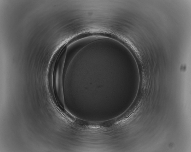 X0000095510391200712141428