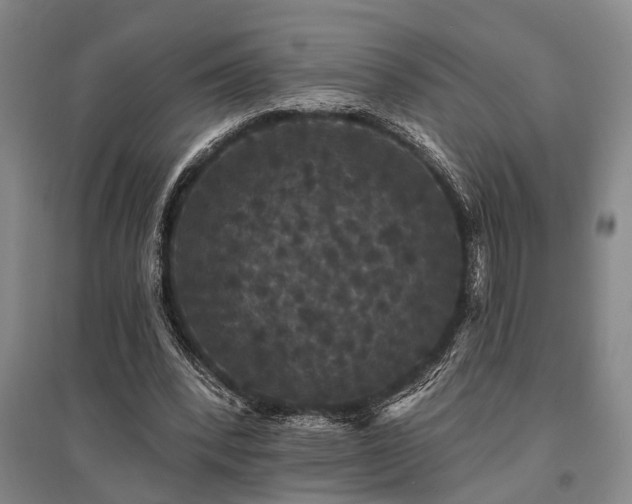 X0000095510392200712141428