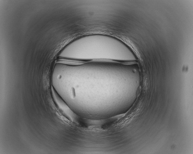 X0000095510393200712141428