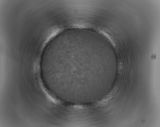 X0000095510394200712141428