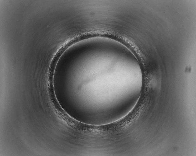 X0000095510395200712141428