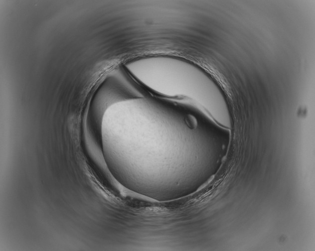 X0000095510397200712141428