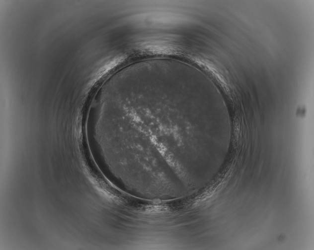 X0000095510398200712141428