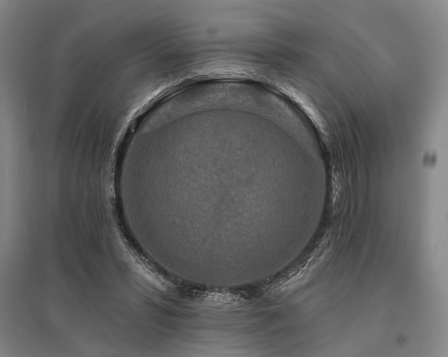 X0000095510399200712141428