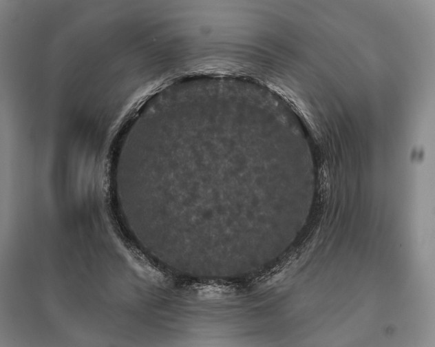 X0000095510400200712141428