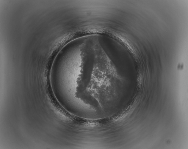 X0000095510402200712141428