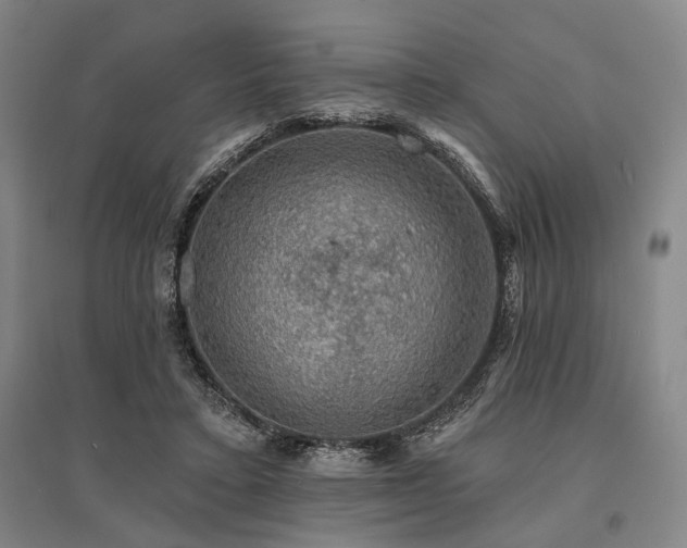 X0000095510403200712141428