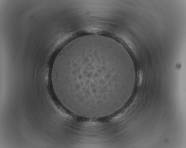 X0000095510404200712141428