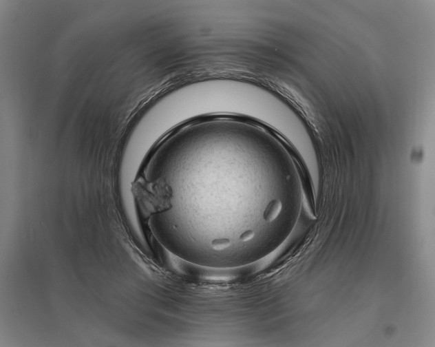 X0000095510405200712141428