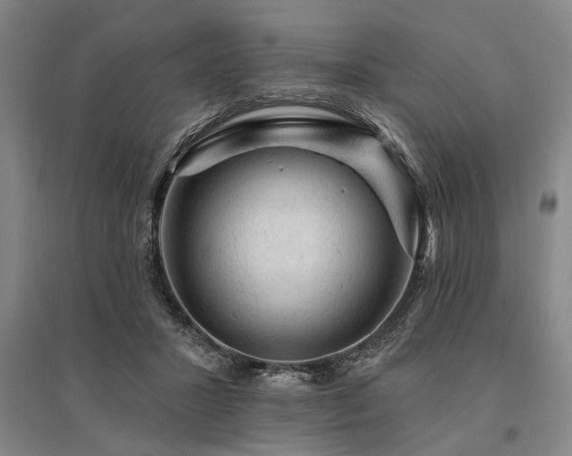 X0000095510407200712141428