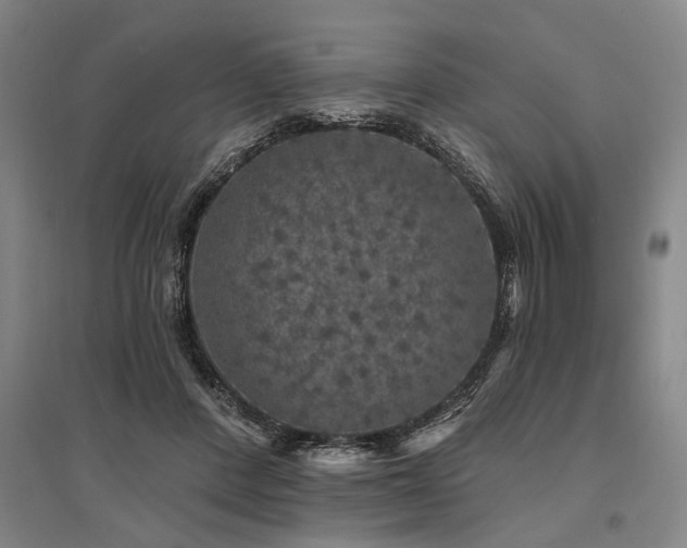 X0000095510408200712141428