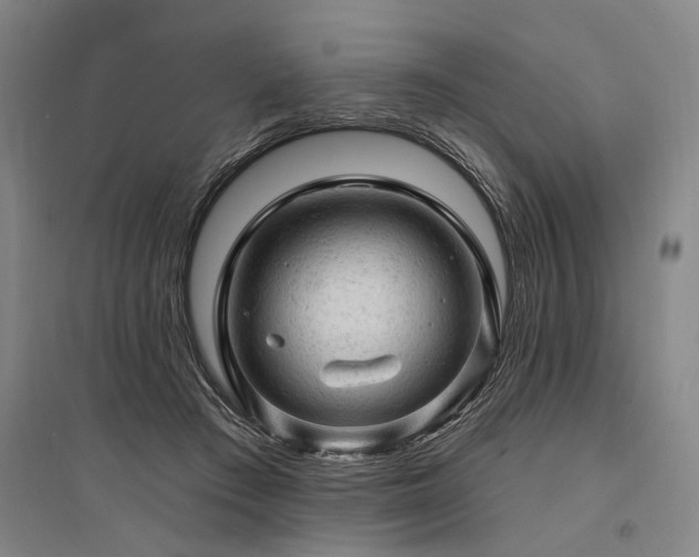 X0000095510409200712141428