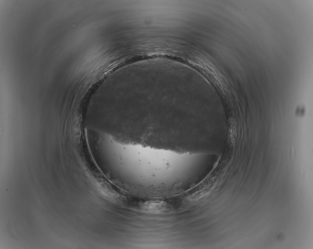 X0000095510410200712141428