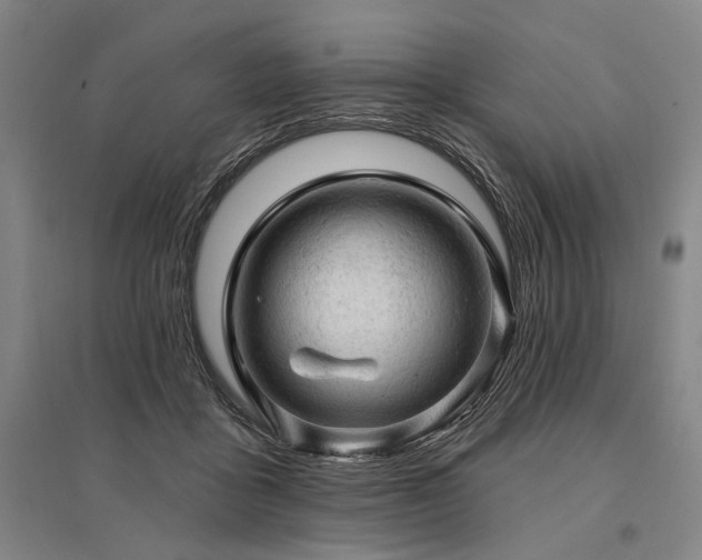 X0000095510411200712141428