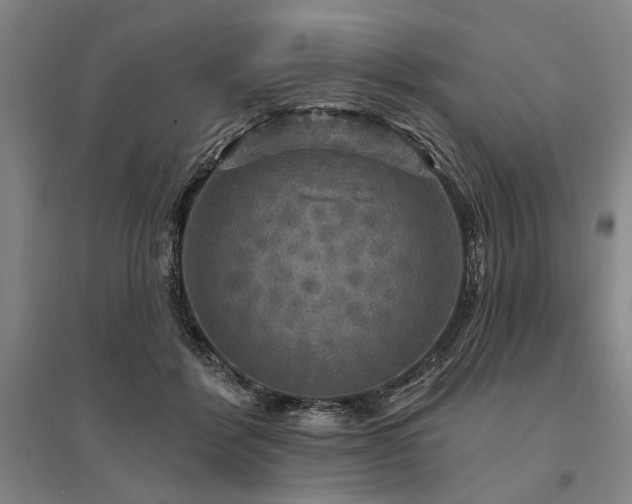 X0000095510412200712141428