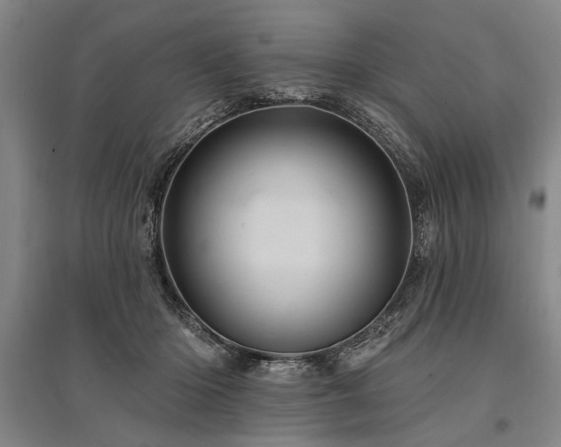 X0000095510414200712141428