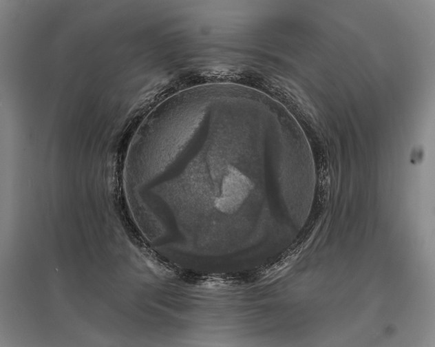 X0000095510416200712141428