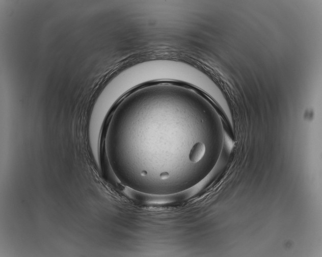 X0000095510417200712141428