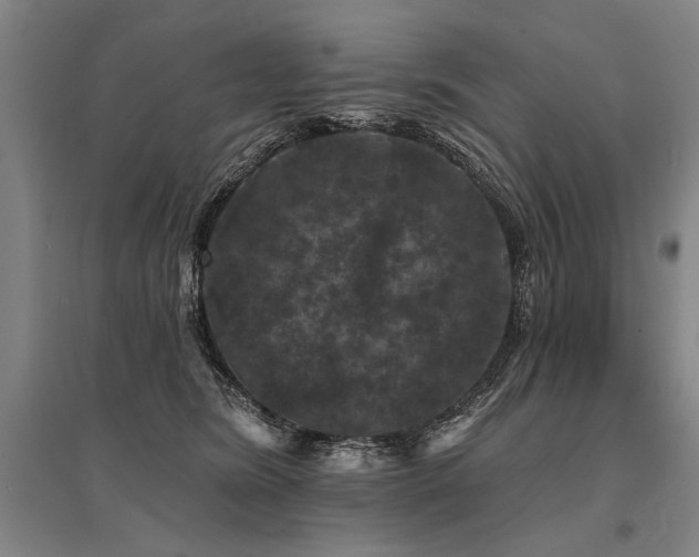 X0000095510420200712141428