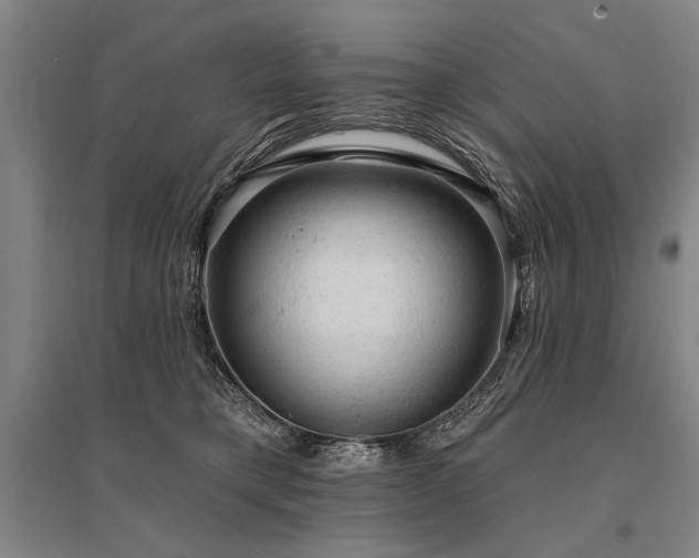 X0000095510421200712141428