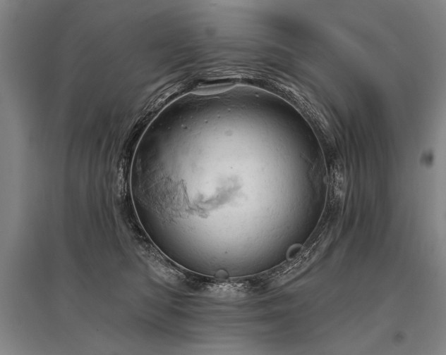 X0000095510422200712141428