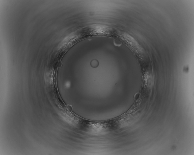 X0000095510423200712141428