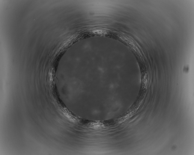 X0000095510424200712141428