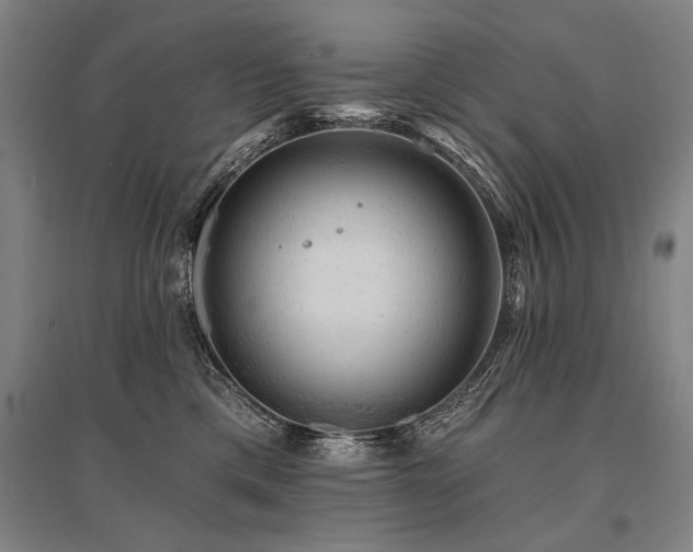 X0000095510425200712141428