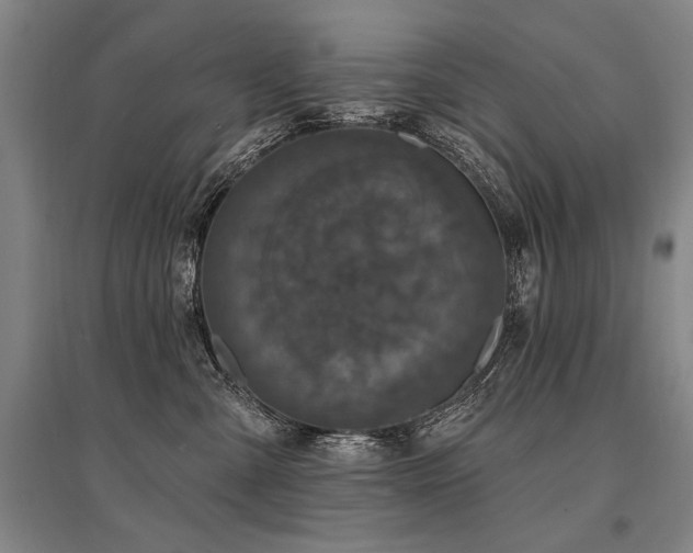 X0000095510427200712141428