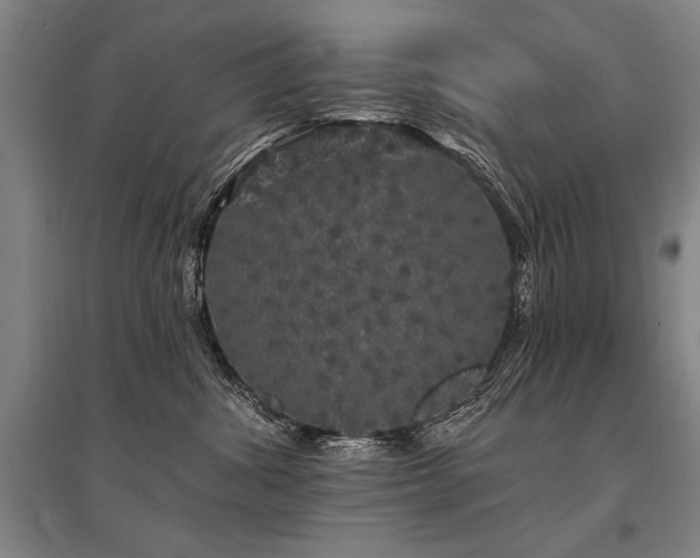 X0000095510428200712141428