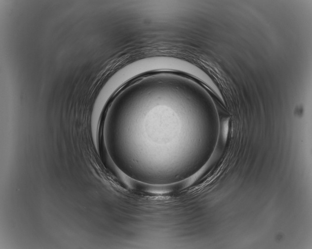X0000095510429200712141428