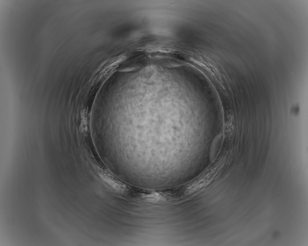 X0000095510430200712141428