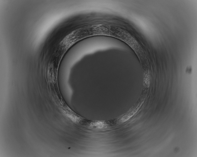 X0000095510431200712141428