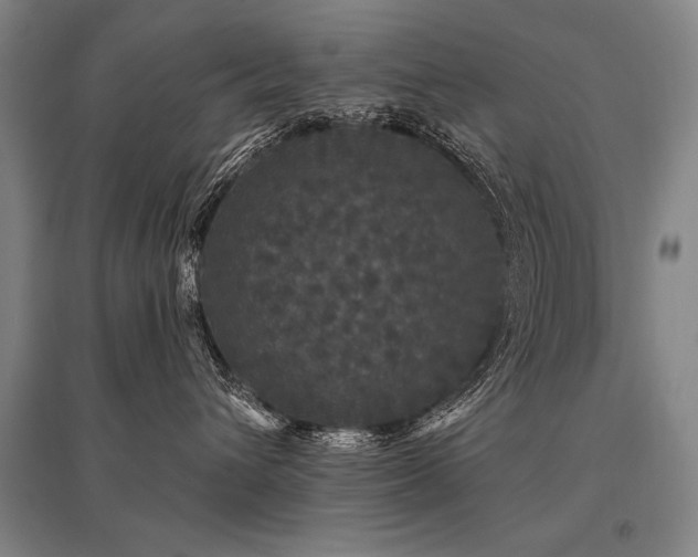 X0000095510432200712141428