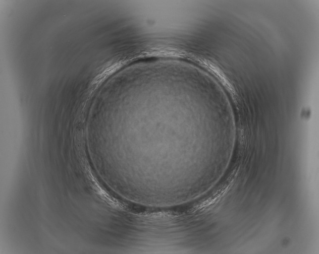X0000095510433200712141427