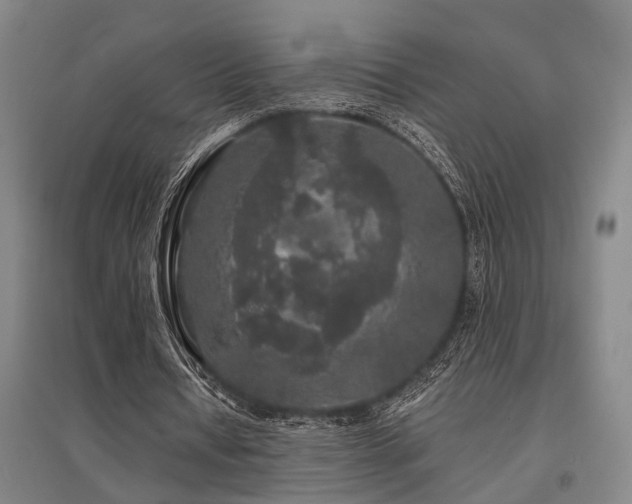 X0000095510434200712141427