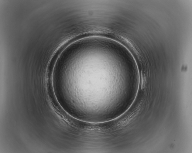 X0000095510435200712141427
