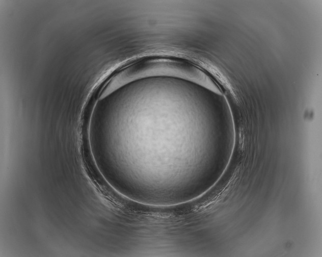 X0000095510436200712141427