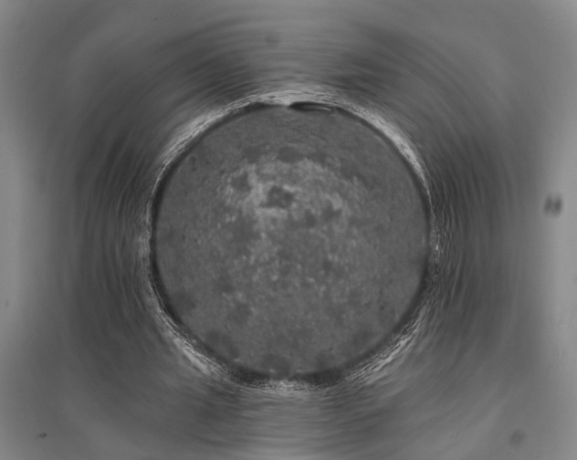 X0000095510437200712141427