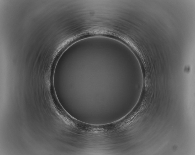 X0000095510438200712141427
