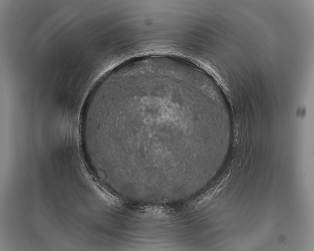 X0000095510439200712141427