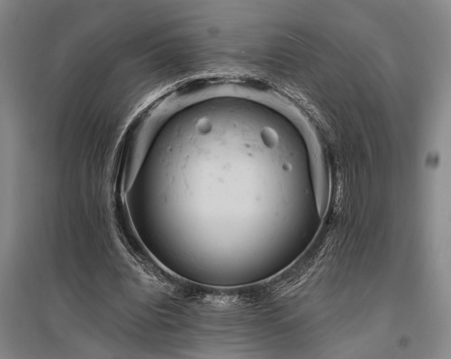 X0000095510440200712141427