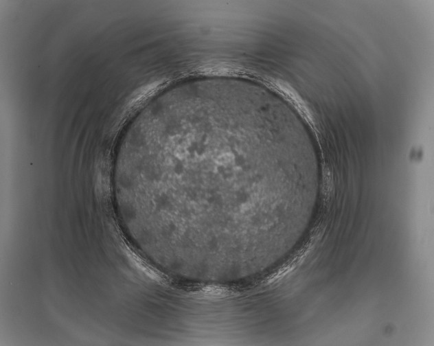 X0000095510441200712141427